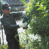 Аккумуляторный кусторез Makita, 18 В, 52 см, 2700 ход/мин, без АКБ и ЗУ, DUH523Z