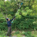 Аккумуляторный сучкорез-высоторез Makita DUA200RT01, 18 В, 20 см, 6.7 м/с, с АКБ 5 Ач и ЗУ